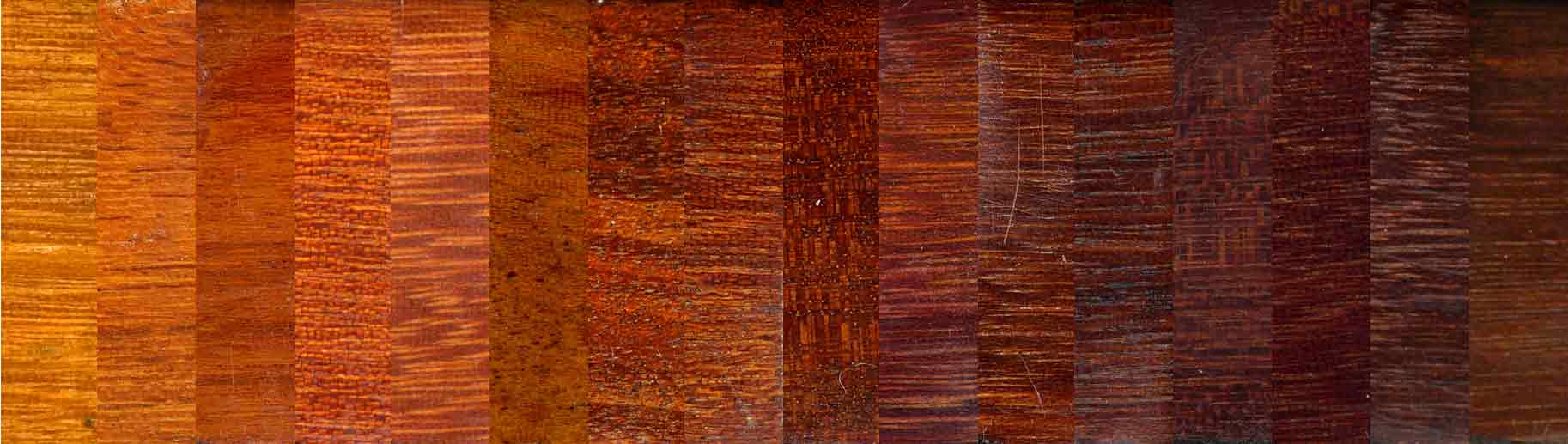 Chromatic variability of pernambuco, 16 sticks