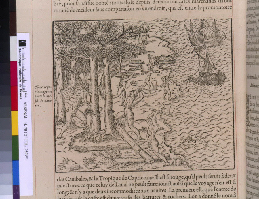 Thevet, Cosmographie universelle 1575 — cutting of Brazil wood